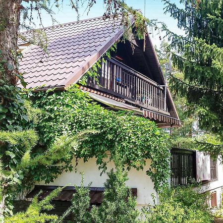 3 Bedroom Stunning Home In Dziemiany Εξωτερικό φωτογραφία